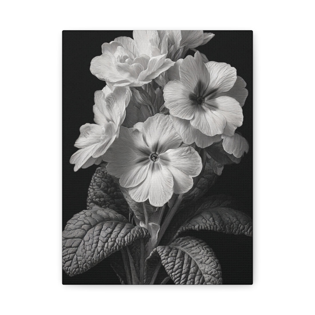 Tableau Noir & Blanc Primevère