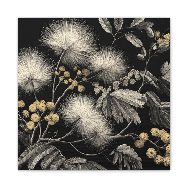 Tableau Noir & Blanc Fleurs de Mimosa