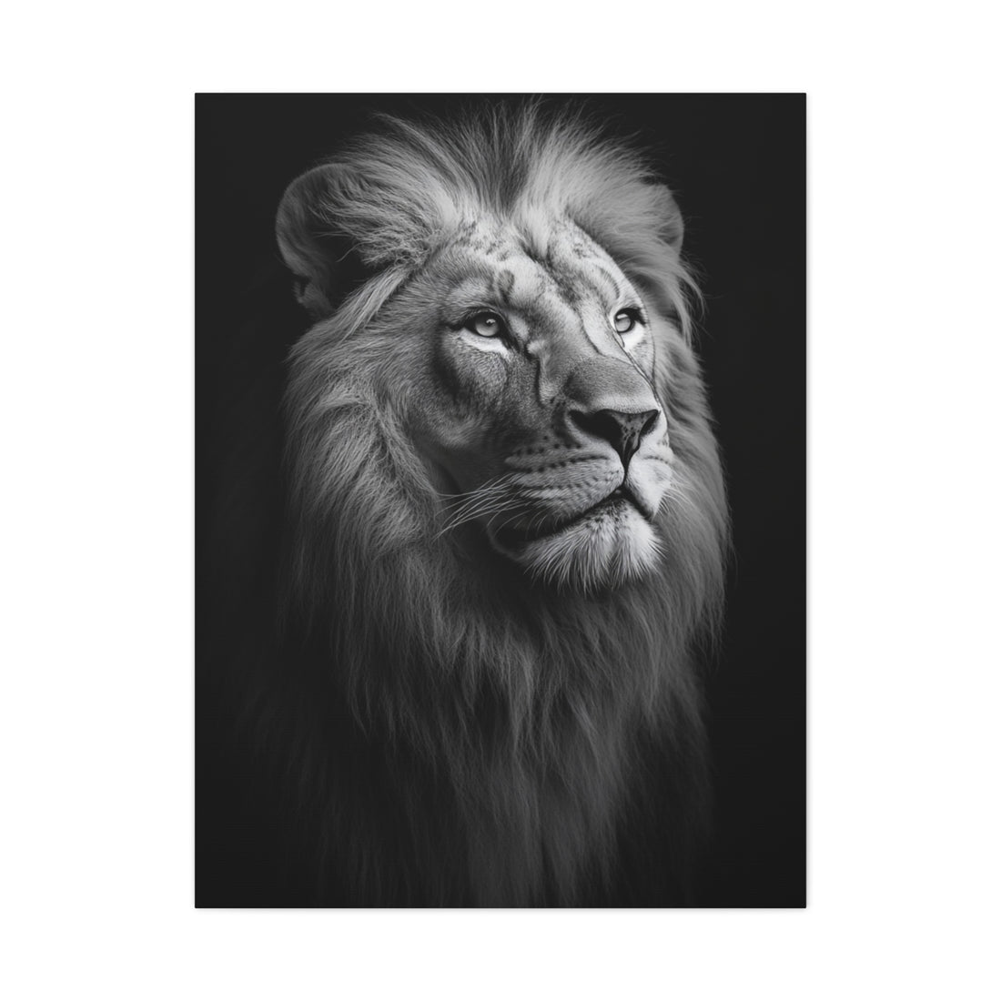 Grand Tableau Lion Noir et Blanc
