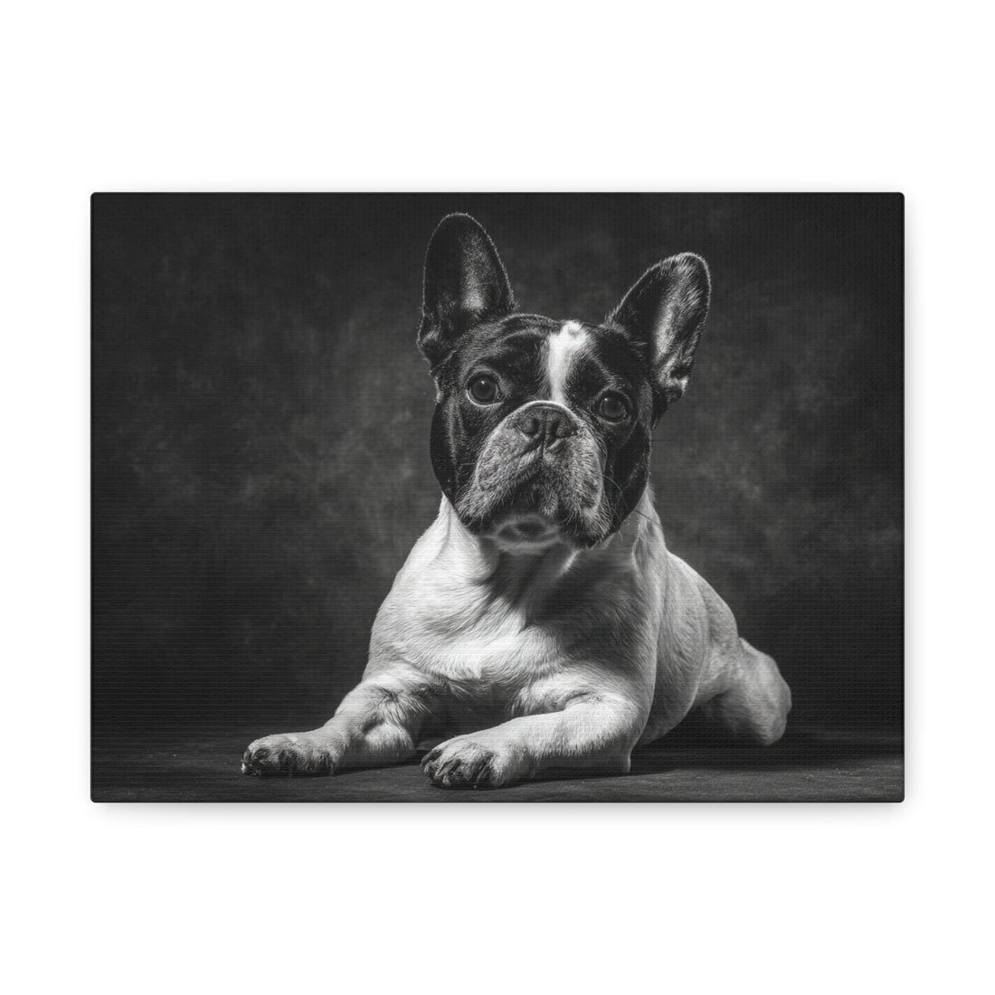 Tableau Noir & Blanc - French Bulldog