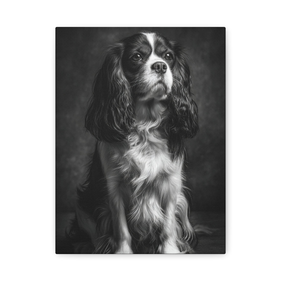Tableau Noir & Blanc - Cavalier King Charles
