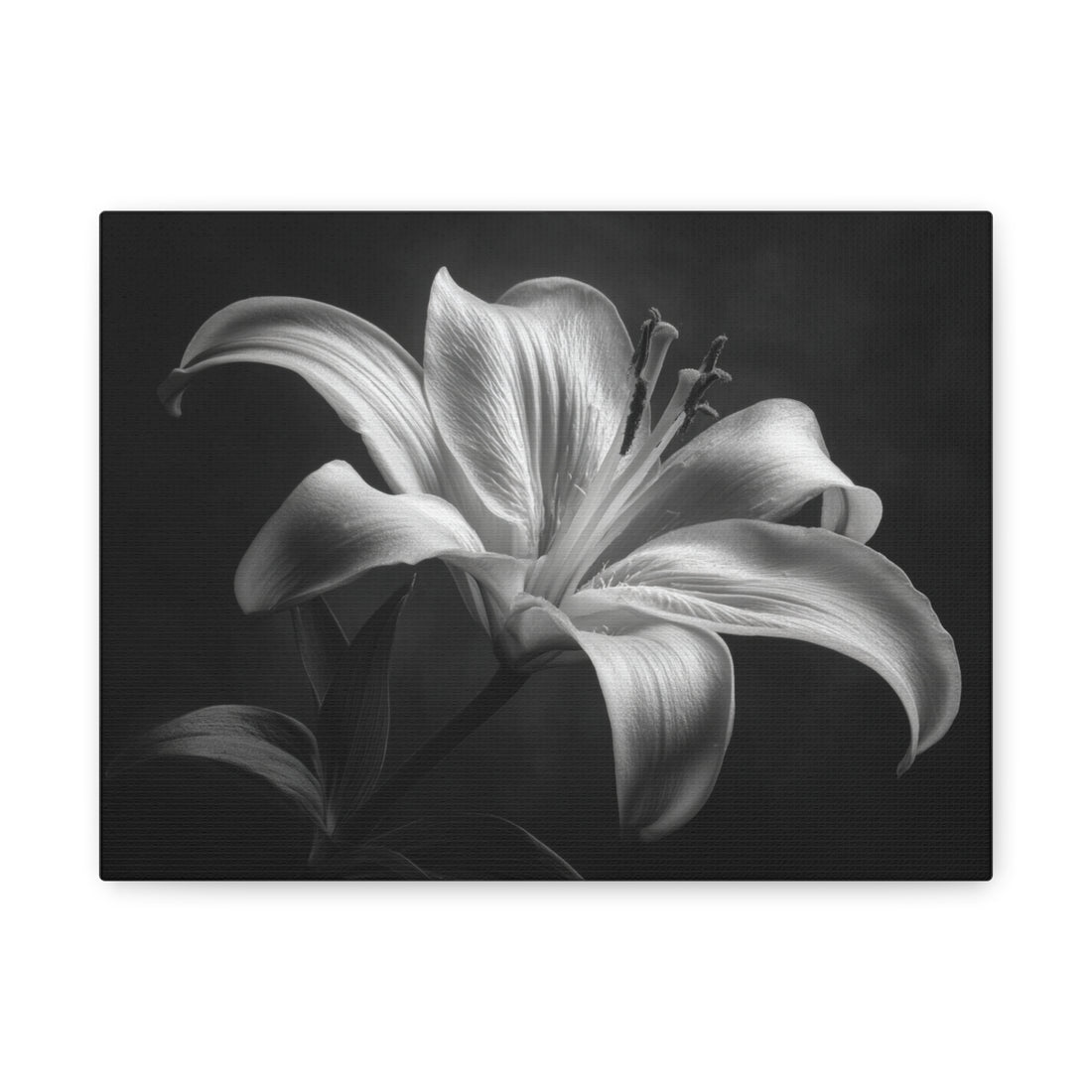 Tableau Noir & Blanc Lys