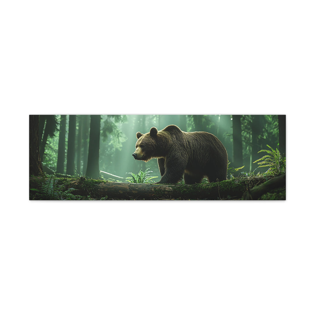 Tableau Ours Foret
