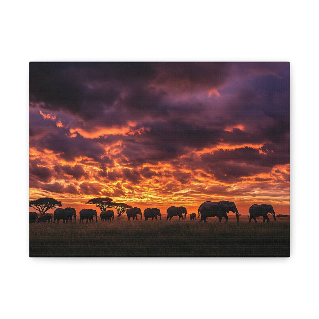 Tableau Coucher De Soleil Éléphants