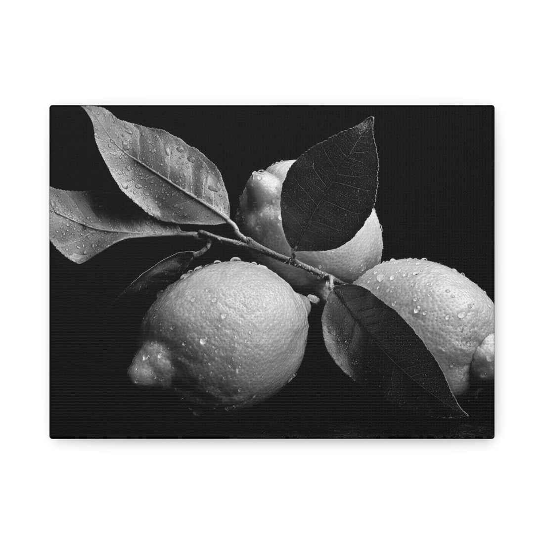 Tableau Noir & Blanc Citron