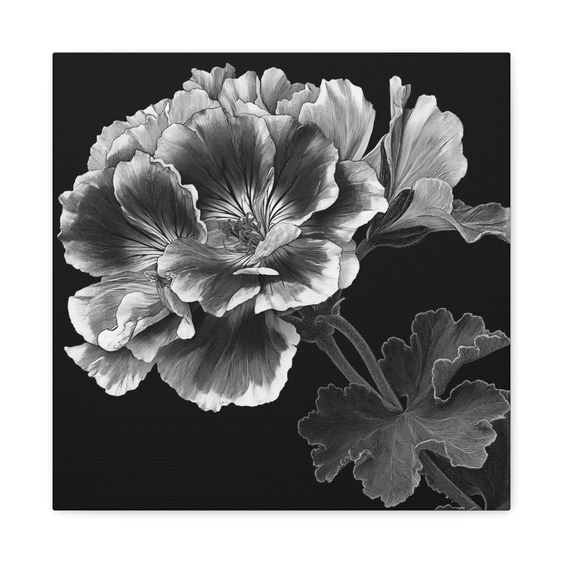 Tableau Noir & Blanc Géranium