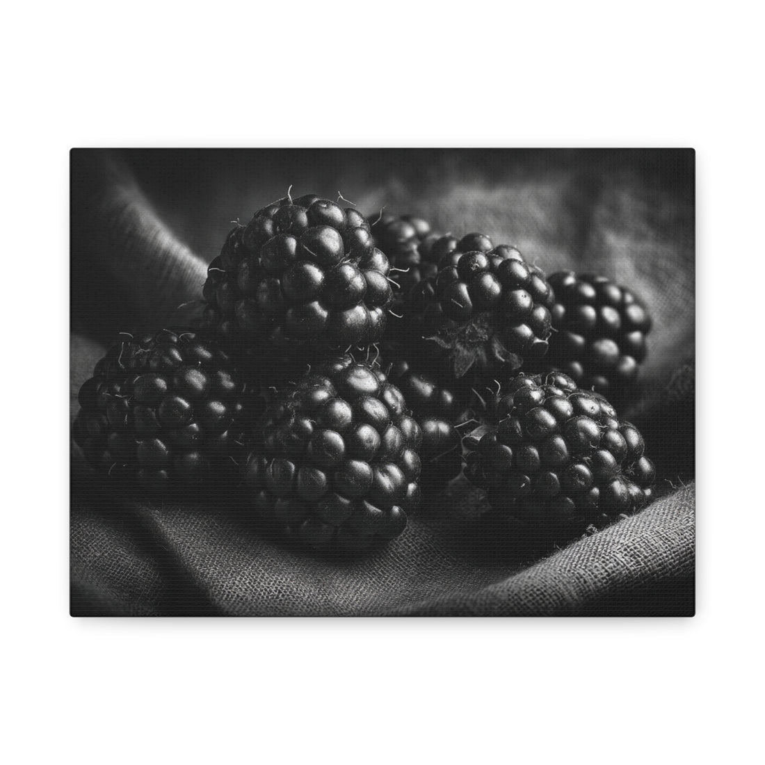 Tableau Noir & Blanc Mûre