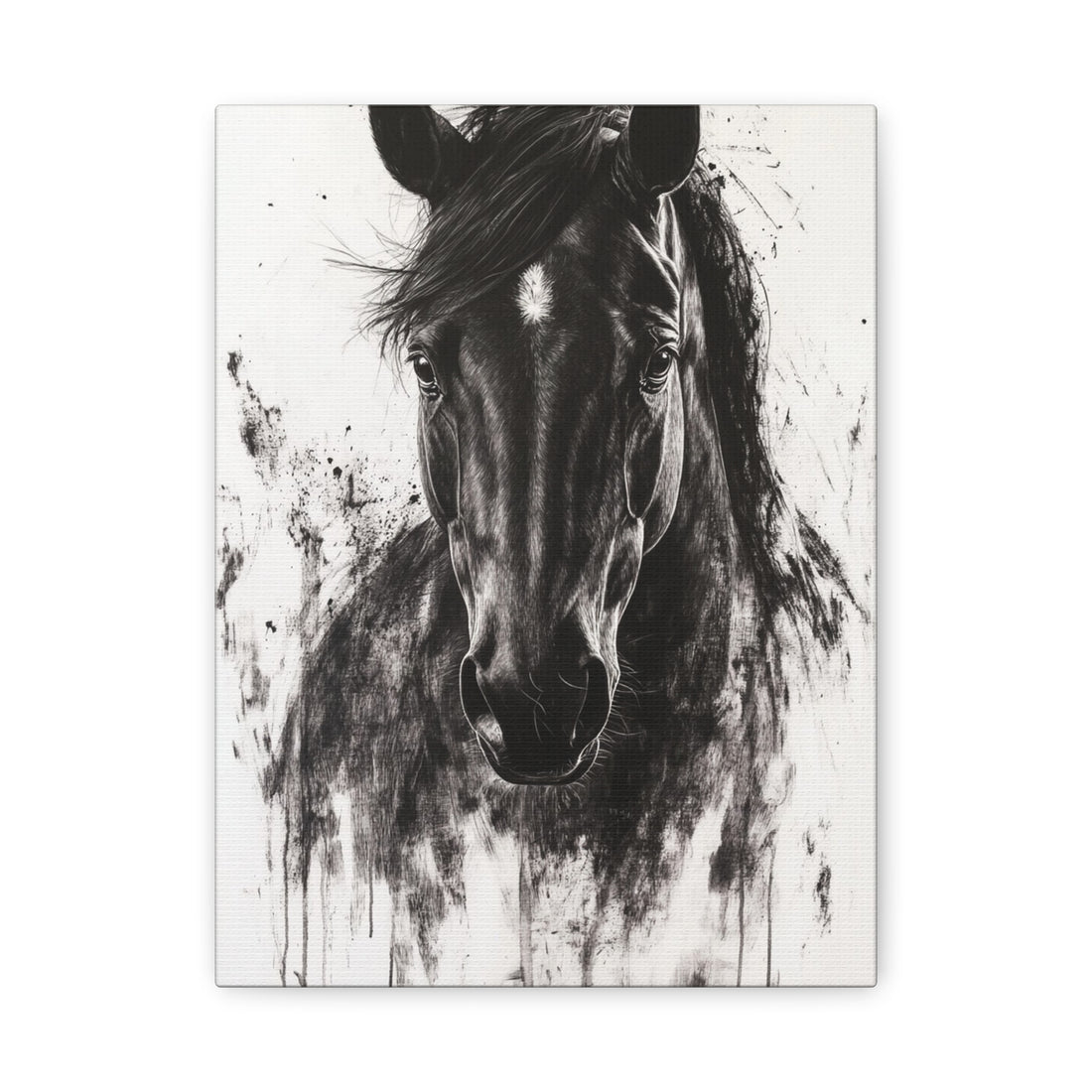 Tableau Cheval Noir Et Blanc