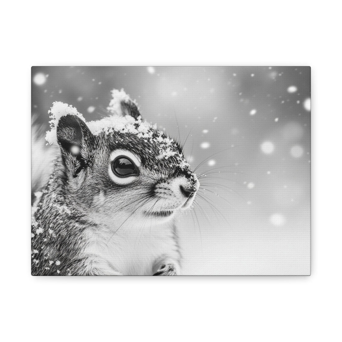 Tableau Neige Ecureuil Noir Et Blanc