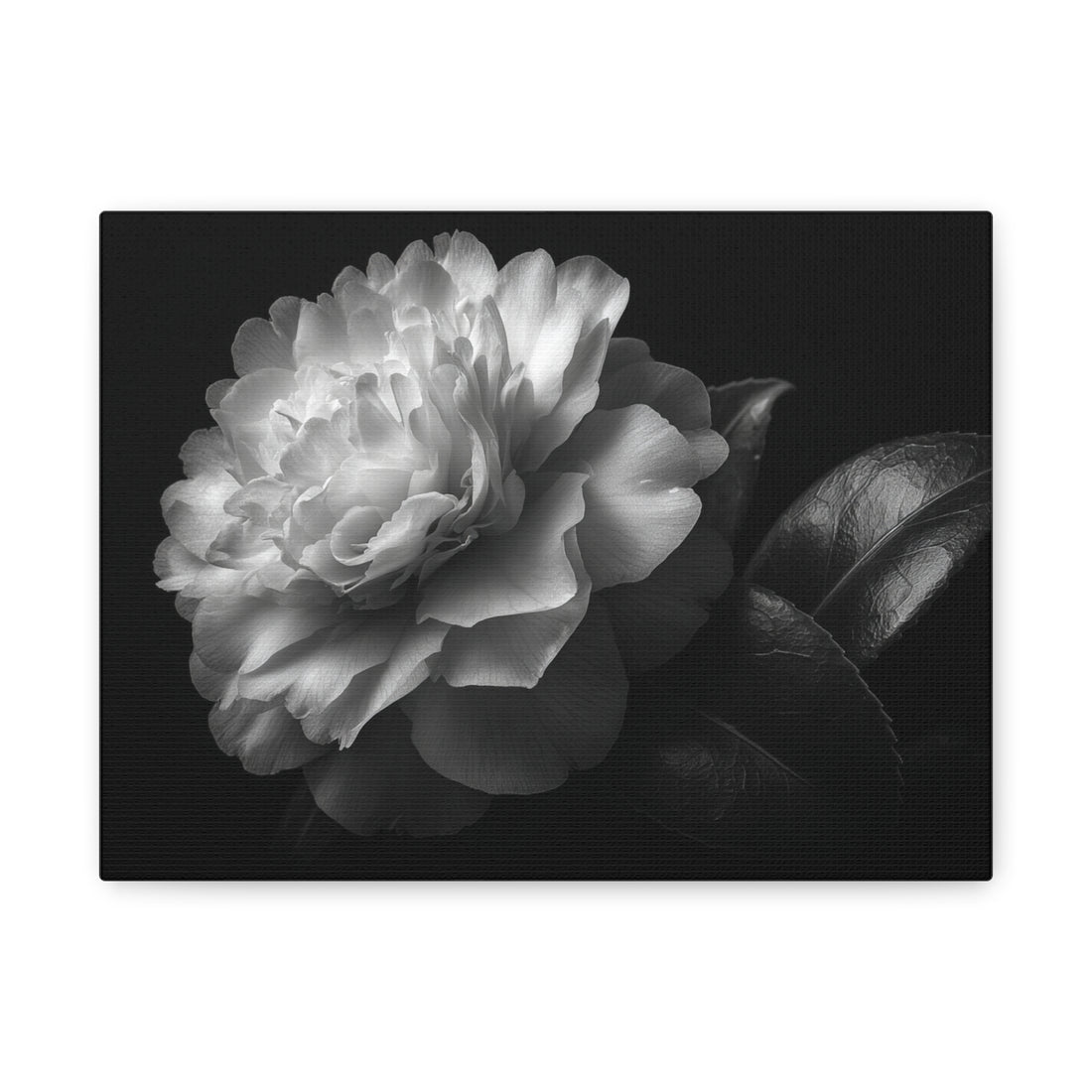 Tableau Noir & Blanc Camélia