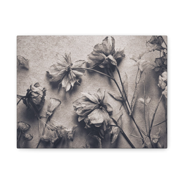 Tableau Noir & Blanc Fleurs Séchées