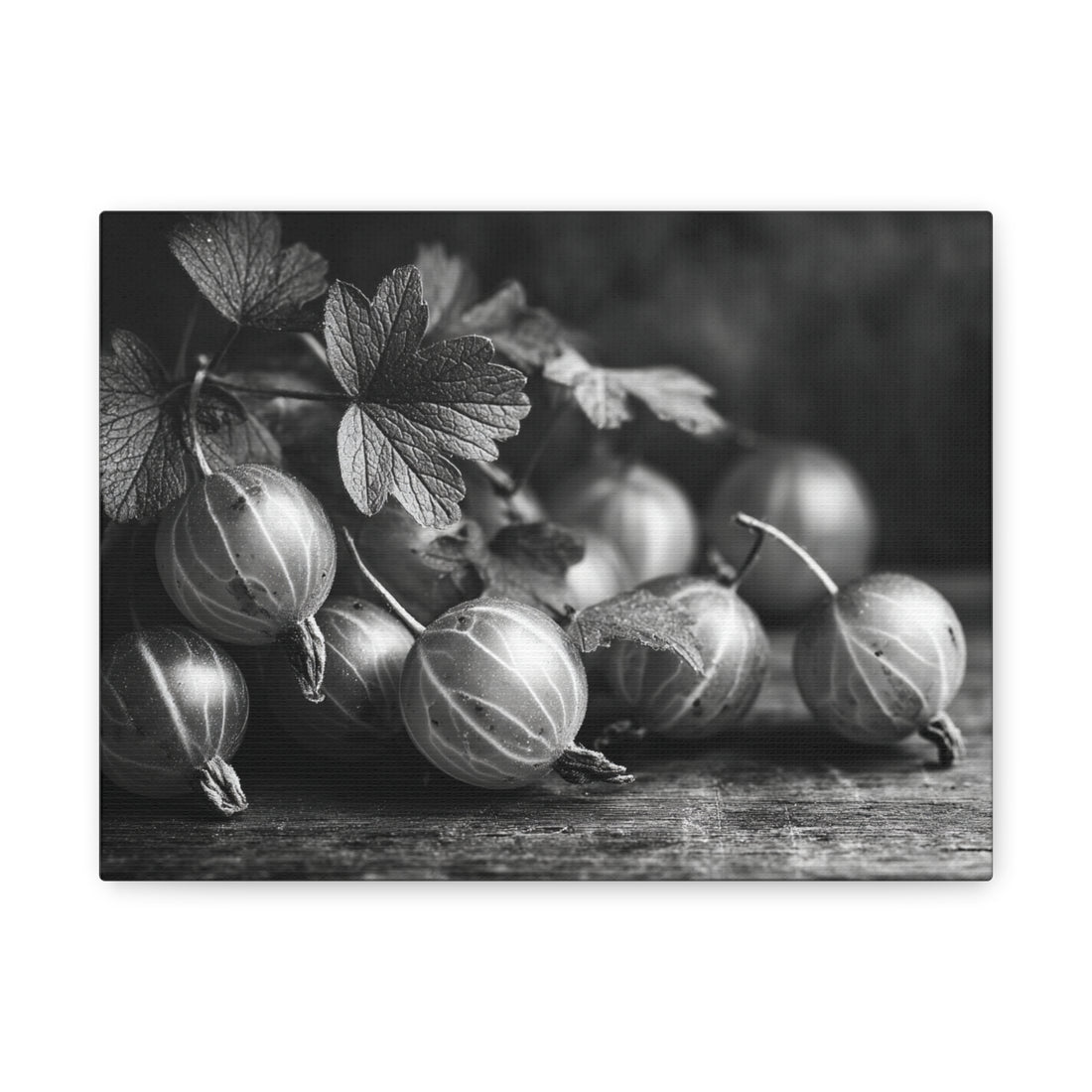 Tableau Noir & Blanc Groseille