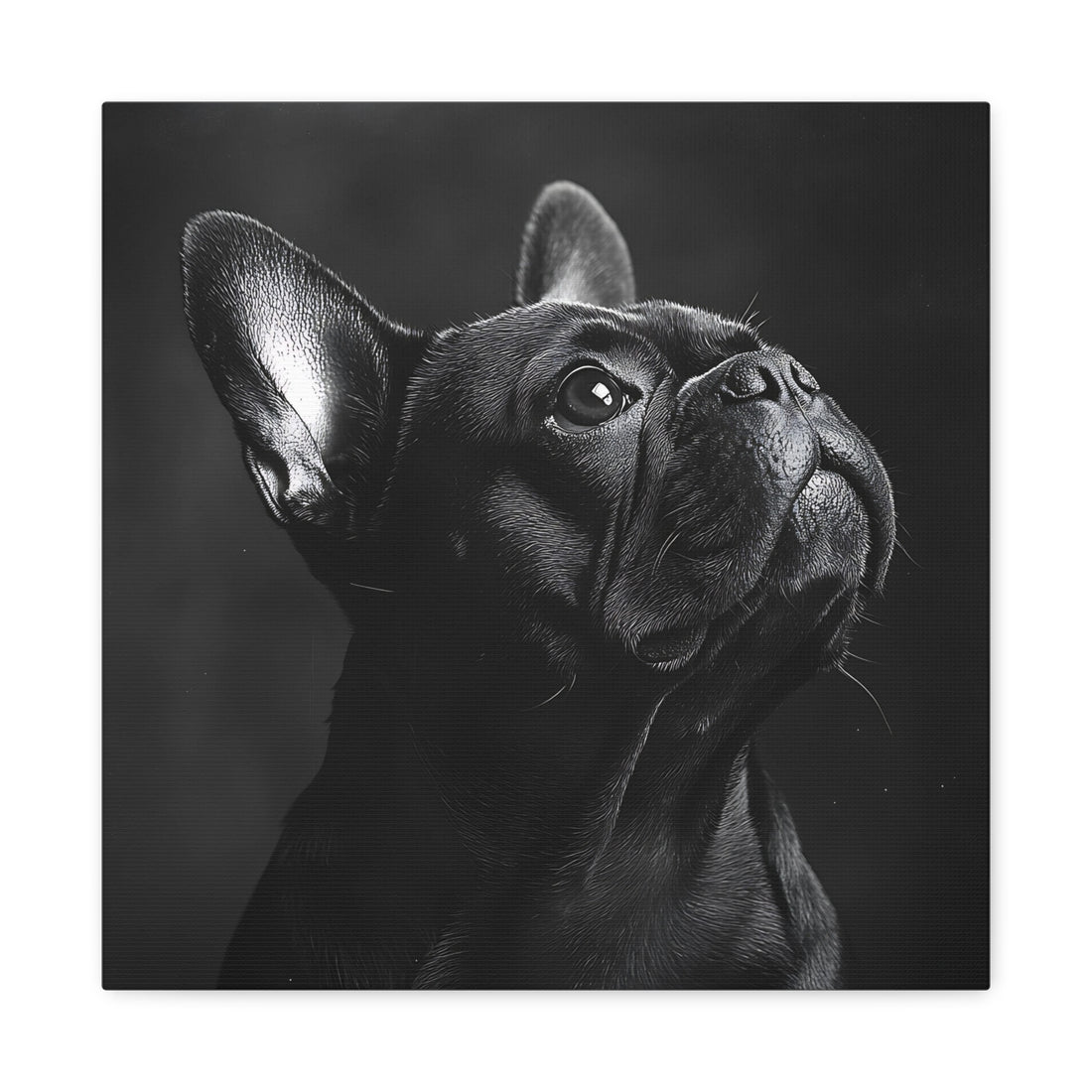 Tableau Bouledogue Français Noir & Blanc