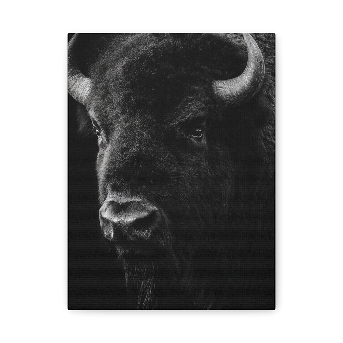 Tableau Noir & Blanc - Buffle