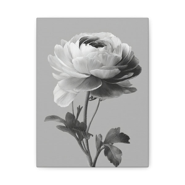 Tableau Noir & Blanc Renoncule