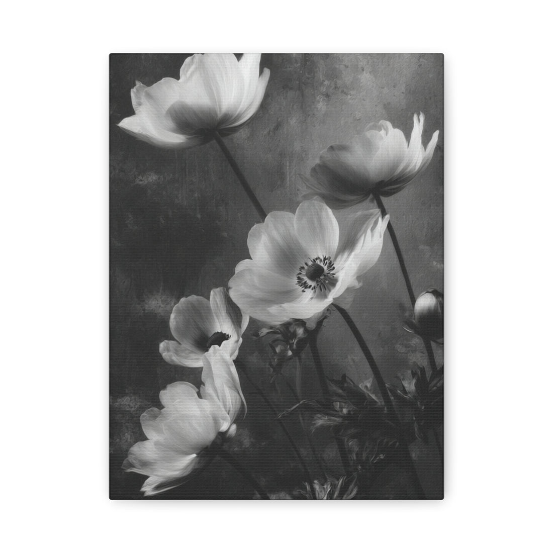 Tableau Noir & Blanc Anémone