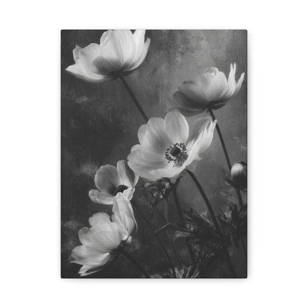 Tableau Noir & Blanc Anémone