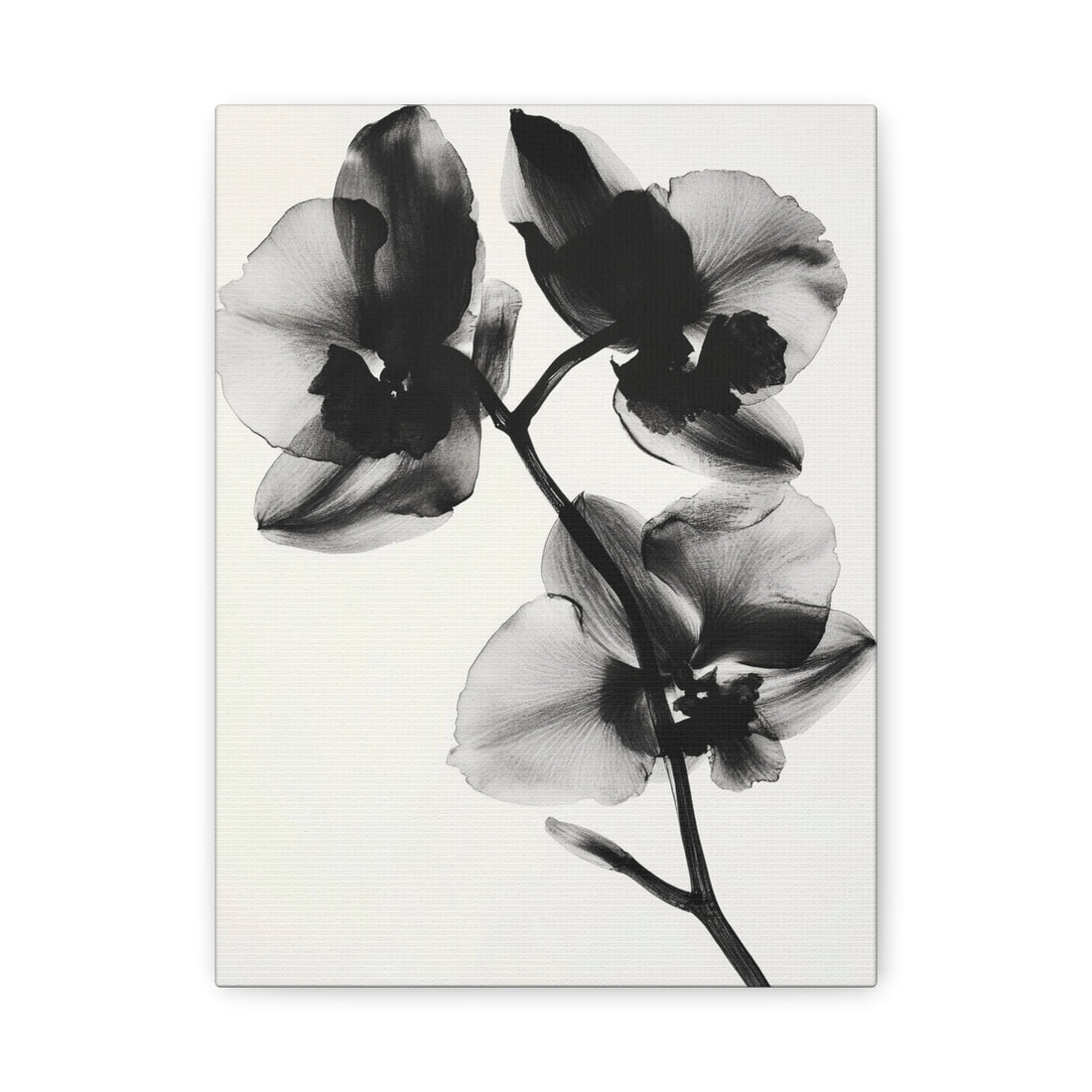 Tableau OrchidéE Noire