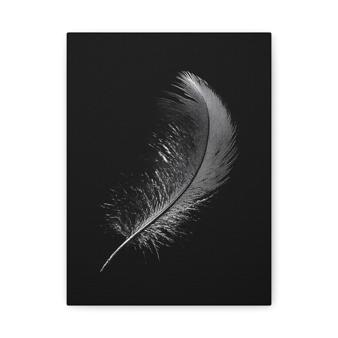 Tableau Plume Noir & Blanc