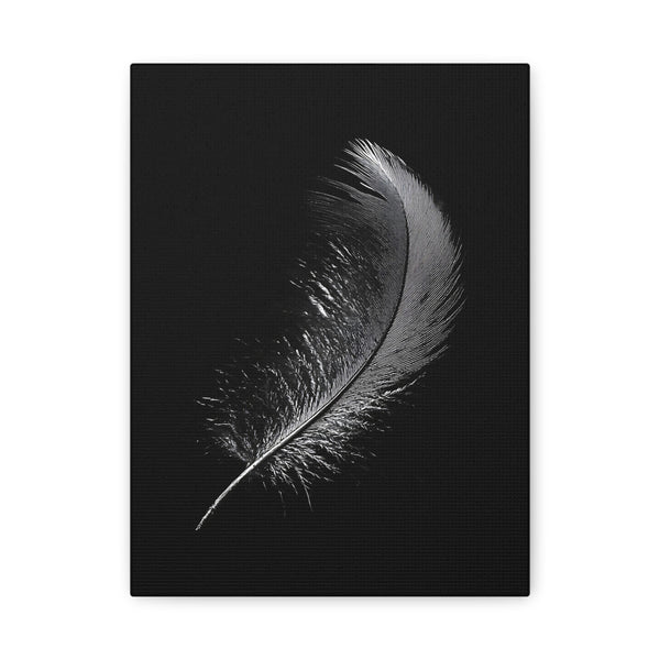 Tableau Plume Noir & Blanc