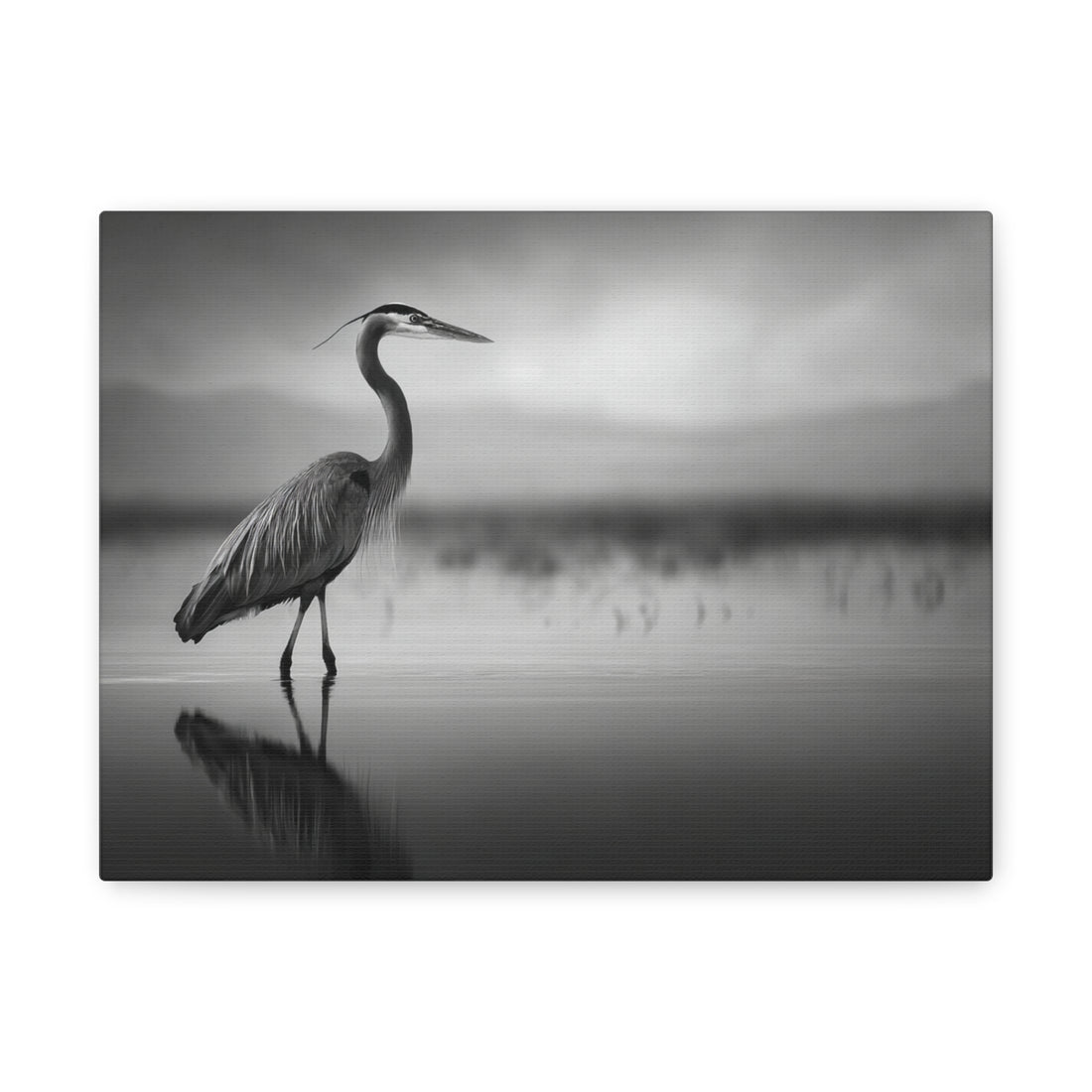 Tableau Oiseau Noir & Blanc