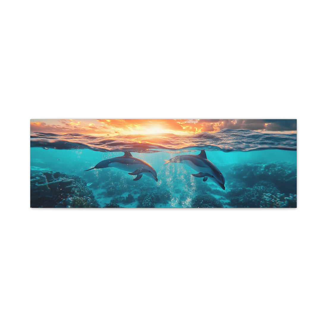 Tableau Panoramique Dauphin