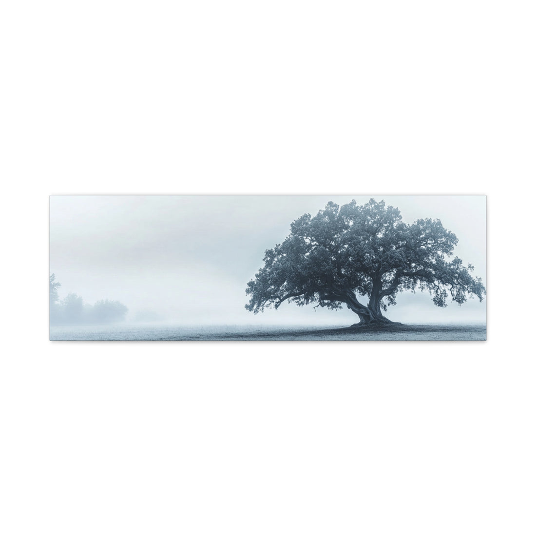 Tableau Noir Et Blanc Panoramique Arbre