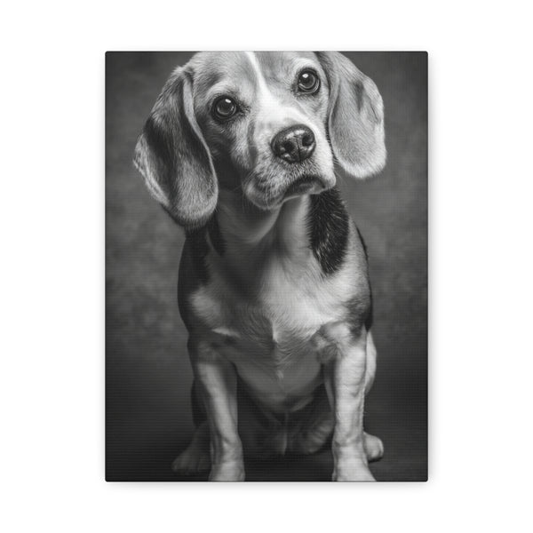 Tableau Noir & Blanc - Beagle