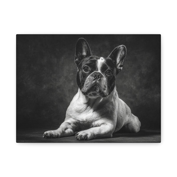 Tableau Noir & Blanc - French Bulldog