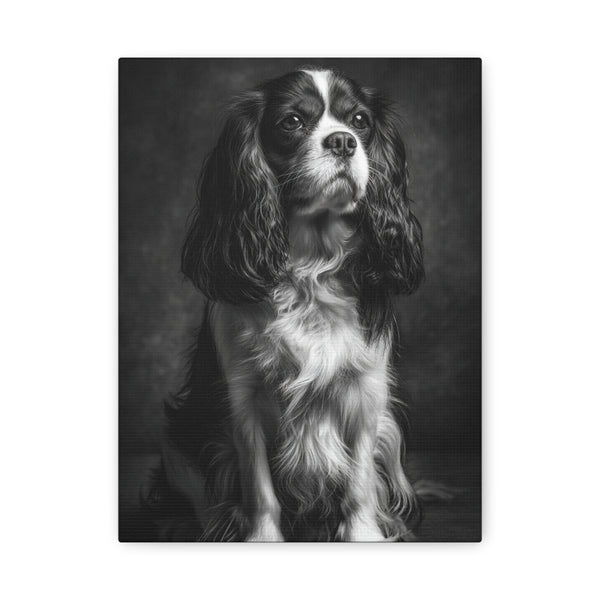 Tableau Noir & Blanc - Cavalier King Charles