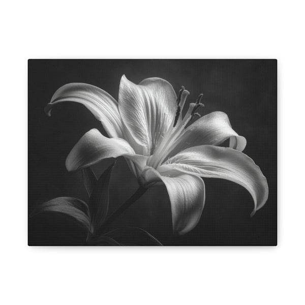 Tableau Noir & Blanc Lys