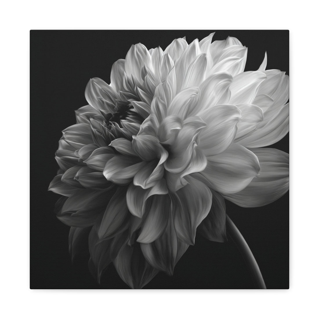 Tableau design Dalhia noir et blanc