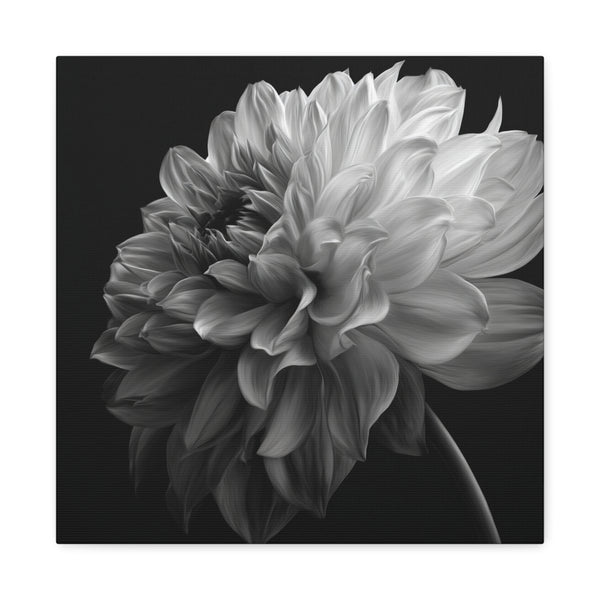 Tableau design Dalhia noir et blanc