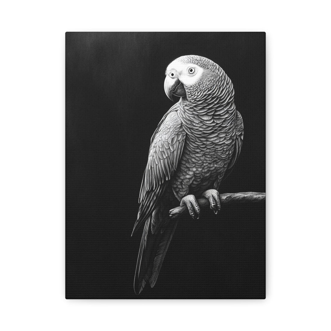 Tableau De Perroquet Noir & Blanc
