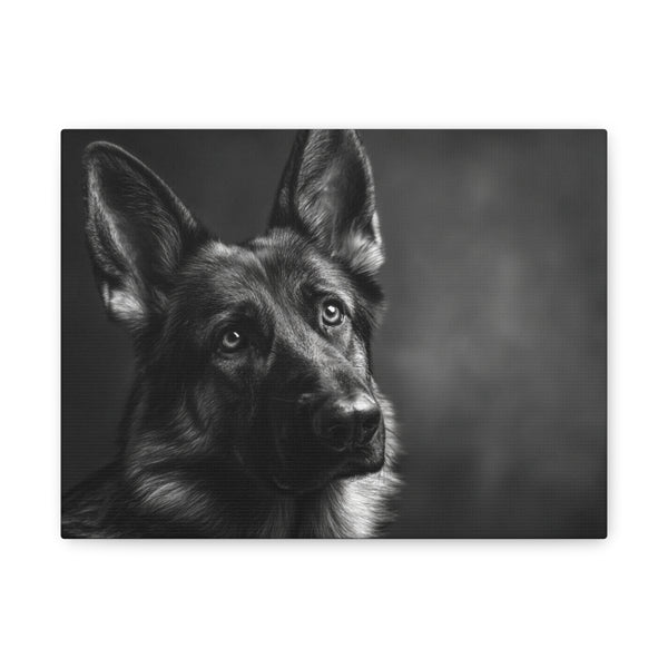 Tableau Noir & Blanc - Berger Allemand
