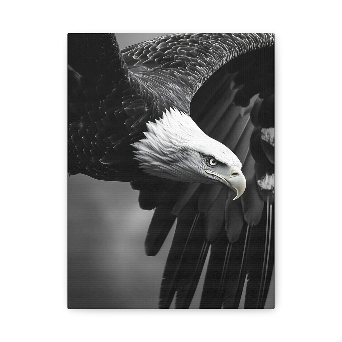 Tableau Aigle Noir Et Blanc