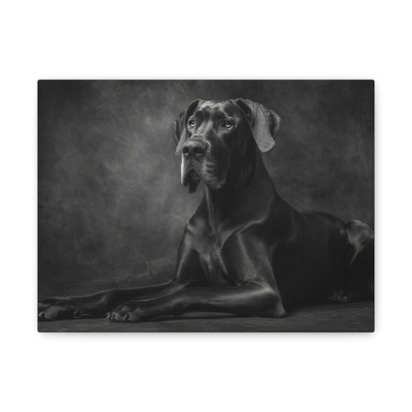 Tableau Noir & Blanc - Grand Danois