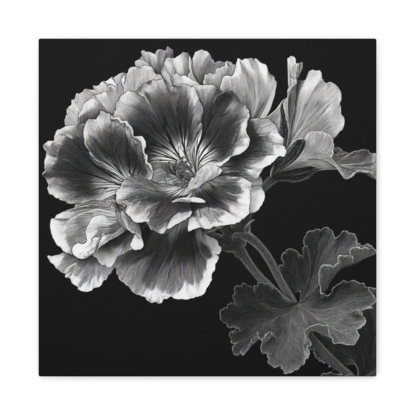 Tableau Noir & Blanc Géranium