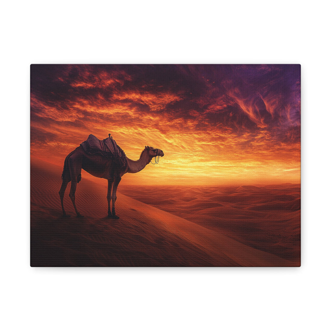 Tableau Desert Chameau