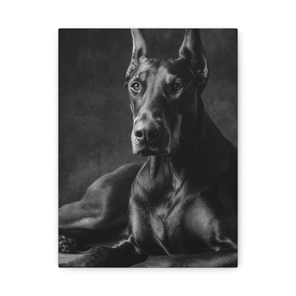 Tableau Noir & Blanc - Doberman Pinscher