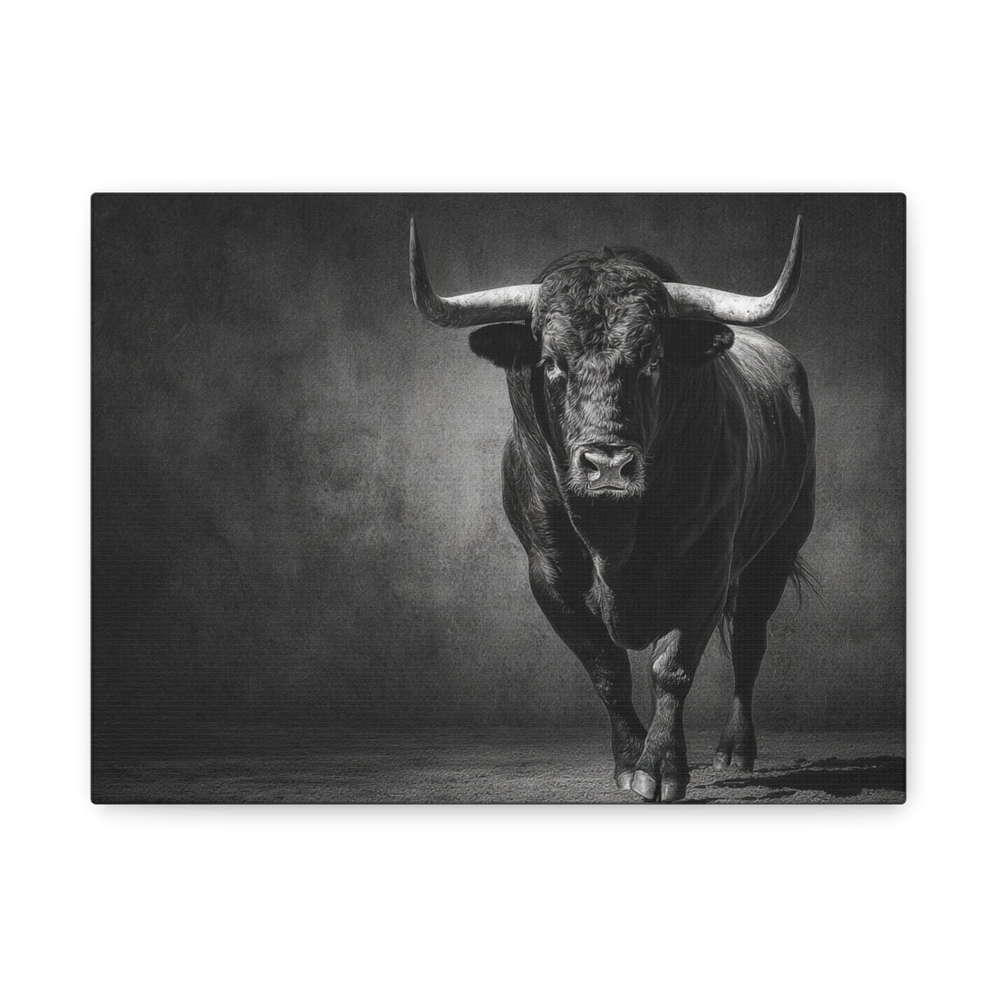 Tableau Noir & Blanc - Taureau