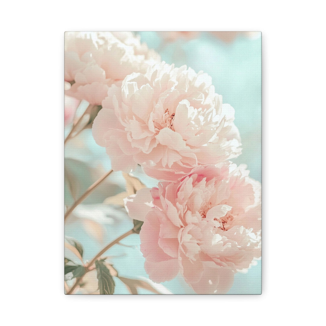 Tableau Fleur Pivoine