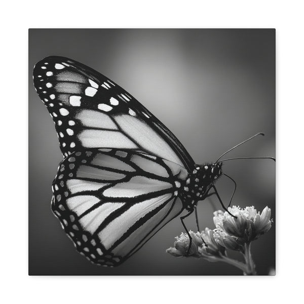 Tableau Papillon Noir & Blanc
