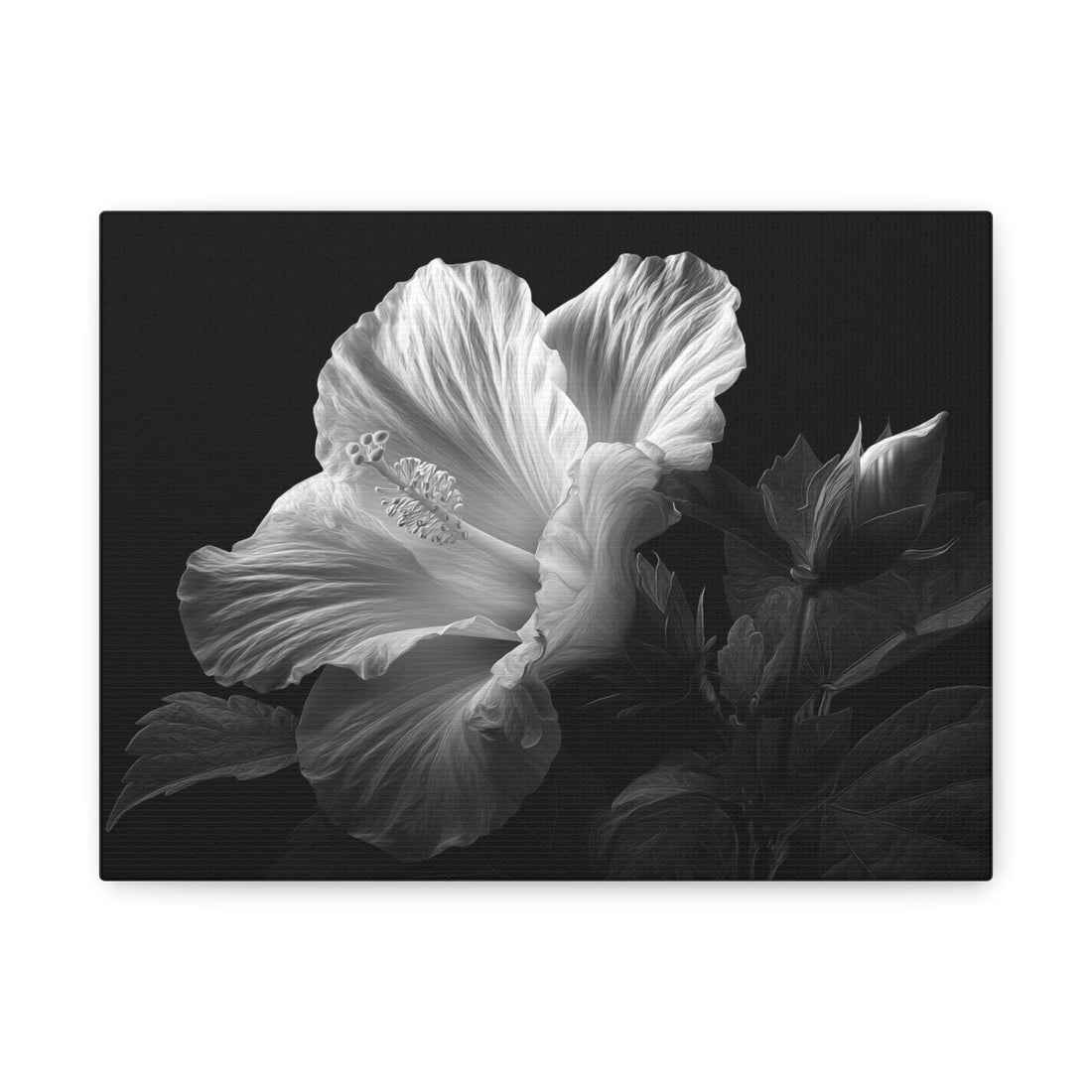 Tableau Noir & Blanc Hibiscus