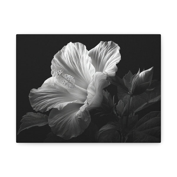 Tableau Noir & Blanc Hibiscus