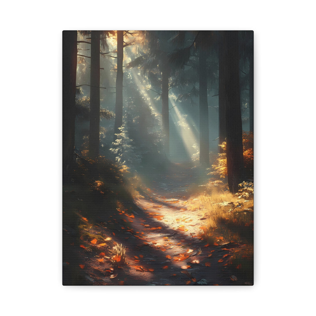 Tableau Coucher De Soleil En Foret
