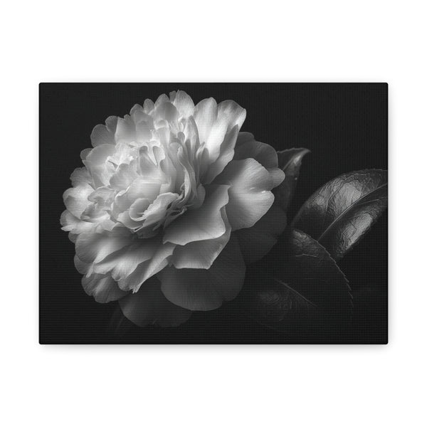 Tableau Noir & Blanc Camélia