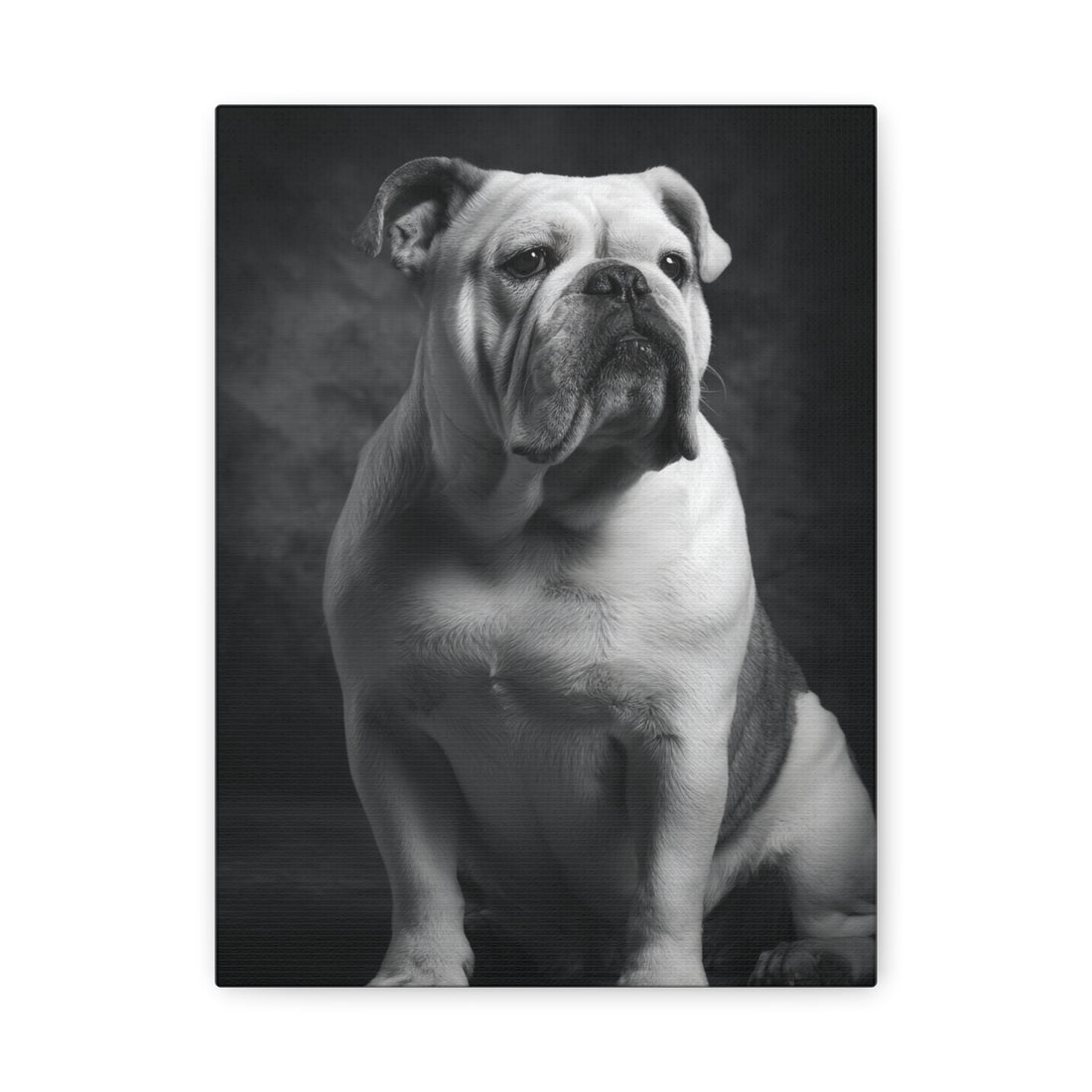 Tableau Noir & Blanc - Bulldog Anglais