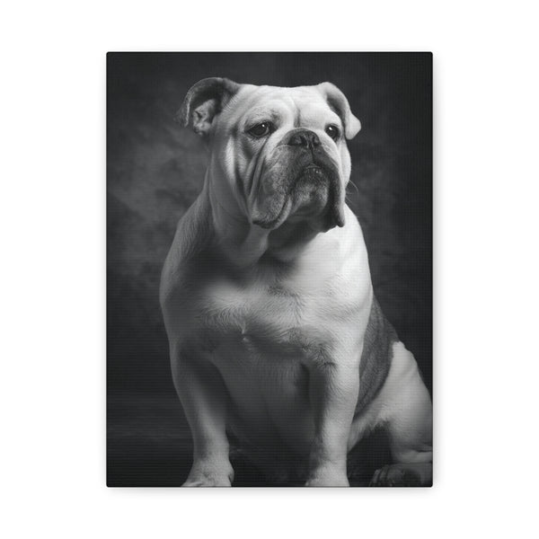 Tableau Noir & Blanc - Bulldog Anglais