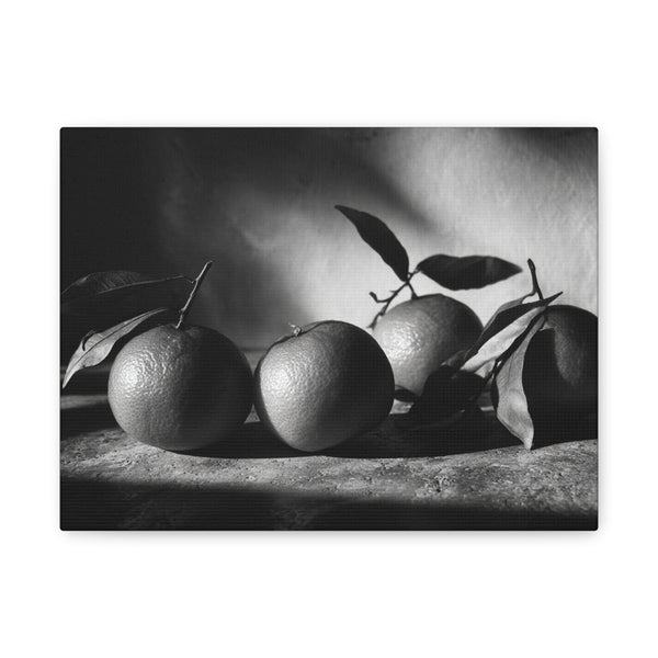 Tableau Noir & Blanc Clémentine